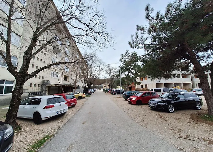 Mystic Grey 플로체